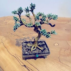 Magnificent Bonsai Keepsake Box. NEW